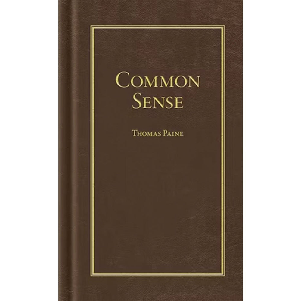 Common Sense Z99E112 - Cockpit USA