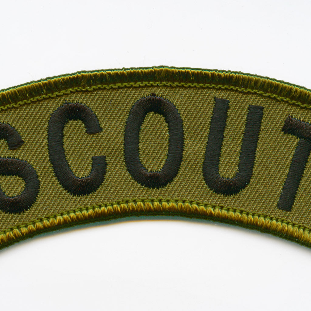 Scout Patch detail